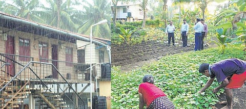 அந்தமான் விவசாயம் 08: இயற்கை வேளாண்மையின் முன்னோடிகள்