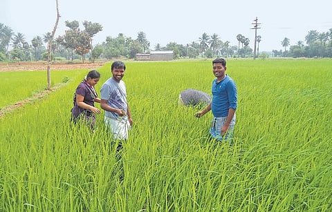இப்போ நான் விவசாயி: கனடாவில் ஐ.டி. வேலை இந்தியாவில் இயற்கை வேளாண்மை