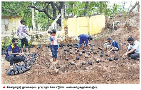 நீர்நிலை கரைகளையும், உயிர்ச் சூழலையும் பாதுகாக்க கோவையில் முதல்முறையாக பனை மர நர்சரி தொடக்கம்