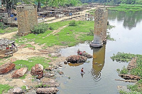 பரிதாப நிலையில் புனிதமான பழநி சண்முகநதி: நதியைப் பாதுகாக்க பக்தர்கள் எதிர்பார்ப்பு