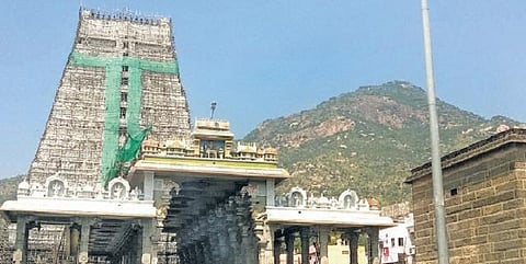 திருவண்ணாமலையில் 30-ல் தீபத் திருவிழா தொடக்கம்: தமிழகம் முழுவதும் இருந்து 2.400 சிறப்பு பேருந்துகள் இயக்கம்