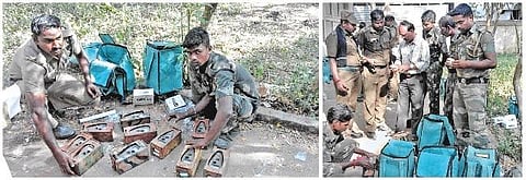 துல்லிய கணக்கெடுப்பு - பொள்ளாச்சி வனச் சரகத்தில் புலிகளின் எண்ணிக்கையை அறியத் தயாராகும் வனத் துறை