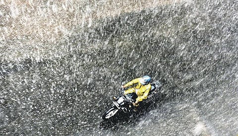 புயல் ஒன்று பூவானது