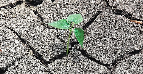 மக்கள்தொகை பெருக்கத்தால் குறைந்துவரும் மண் வளம்