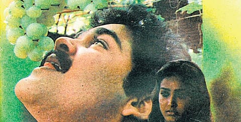 வேலையற்றவனின் டைரி 06 - முந்திரி விளையாத முந்திரித் தோட்டங்கள்!