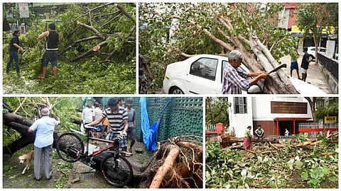 பேசும் படங்கள்: பொதுமக்கள், தன்னார்வலர்கள் பங்களிப்புடன் சீரமையும் சென்னை!