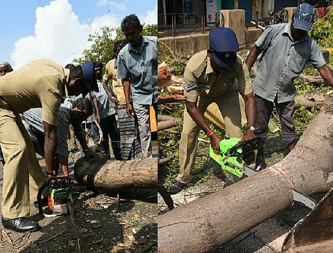 பேசும் படம்: சாய்ந்த மரங்களை அகற்றும் காவல் துறையினர்