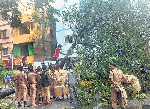 இயற்கை சீற்றம்: புயல் மீட்புப் பணி - களம் கண்ட பெண்கள்