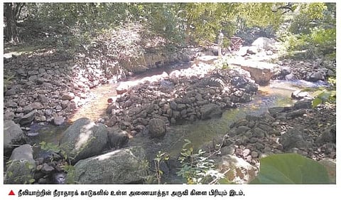 நொய்யல் இன்று 7: நீராதாரக் காடுகளில் தொடரும் அத்துமீறல்கள்