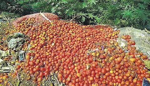 விலை வீழ்ச்சியால் வீதியில் கொட்டப்படும் தக்காளி: தேனியில் கிலோ ரூ.2-க்கு விற்பனை