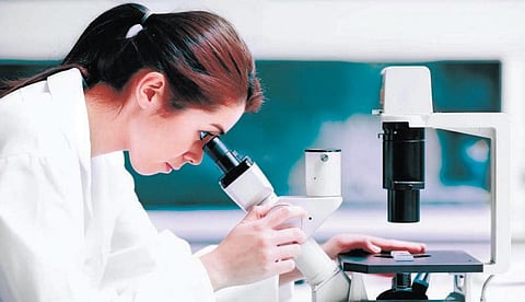 துறை அறிமுகம்: இது உயிரோட்டமான தகவலியல்!