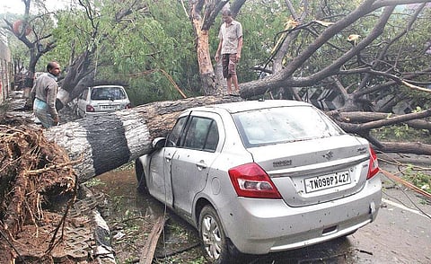 வார்தா போன்று எத்தனை புயல்களைச் சென்னை தாங்கும்?