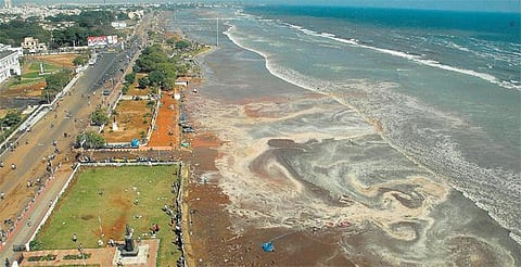 தமிழக கடலோர மாவட்டங்களை சூறையாடிய சுனாமி: 12 ஆண்டுகளாகியும் நெஞ்சைவிட்டு அகலாத சோகம்