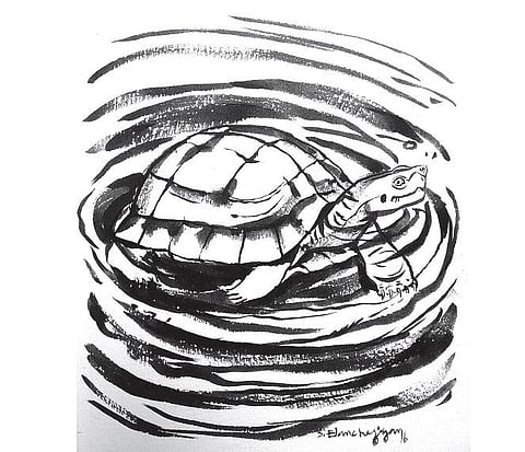 கடவுளின் நாக்கு 25: ஆமையும் முரசும்!