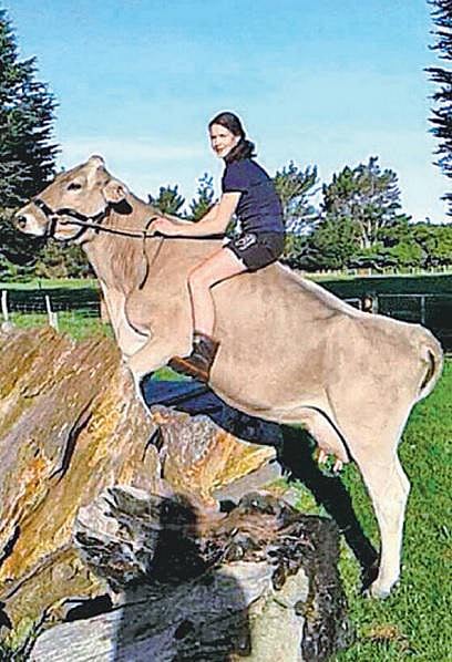 உலக மசாலா: அட! பசு மாட்டை, குதிரையாக மாற்றிவிட்டாரே இந்த சாரா!