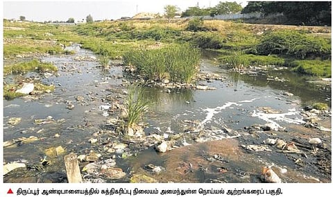 நொய்யல் இன்று 19: ஒரத்துப்பாளையம் அணையில் செத்து மிதந்த 10 லட்சம் மீன்கள்