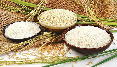 உயிர் வளர்த்தேனே 17: அரிசியை ஊரை விட்டு ஒதுக்க வேண்டாம்