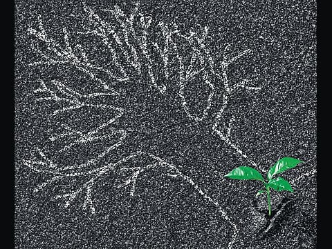 தொட்டனைத்து ஊறும் அமிழ்தம் 15: இயற்கை உற்பத்தித் திறனுக்கு எல்லையே இல்லை