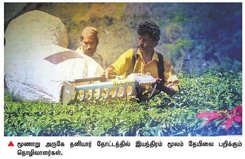இயந்திரம் மூலம் தேயிலை பறிப்பு: கேரள தோட்ட வேலையை தமிழக தொழிலாளர் இழக்கும் அபாயம்