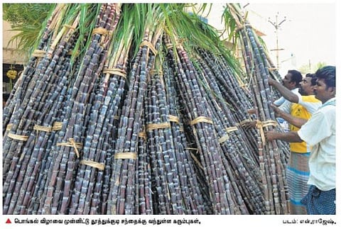 பொங்கலுக்கு கரும்பு வாங்க வியாபாரிகள் தயக்கம்: பணத் தட்டுப்பாடால் விற்பனையும் மந்தம்