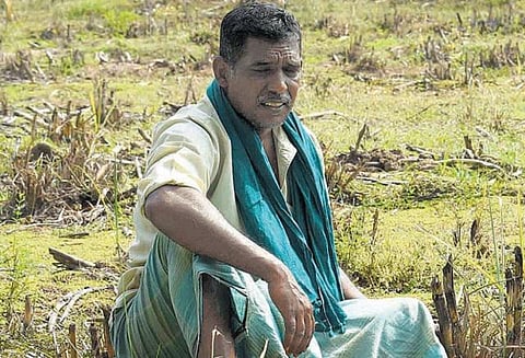 தடுமாறி நிற்கும் தஞ்சை பூமி: விவசாயிகள் வாழ்வை புரட்டிப்போட்ட வரலாறு காணாத வறட்சி