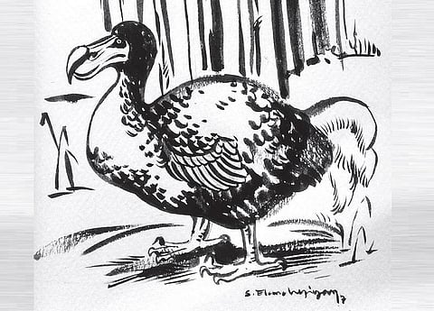 கடவுளின் நாக்கு 28: ஈக்களும் சிலந்தியும்!