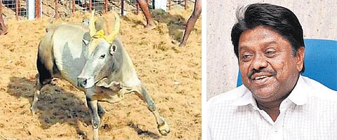 10 ஆண்டுகளாக சொந்த செலவில் சட்டப் போராட்டங்களை தொடர்ந்து நடத்தும் ‘ஜல்லிக்கட்டு நாயகன்’ ராஜசேகர்