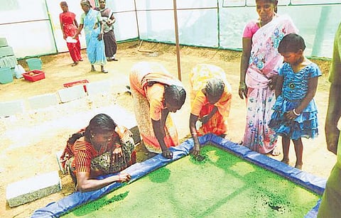 புது வழி: தலைநிமிர்ந்த பெண்கள்!