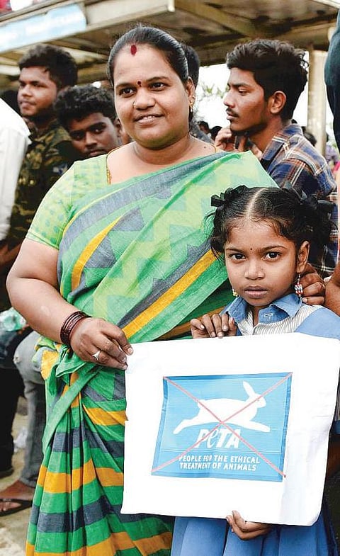 இணைய களம்: மண்டியிட்டு வணங்குகிறேன்!