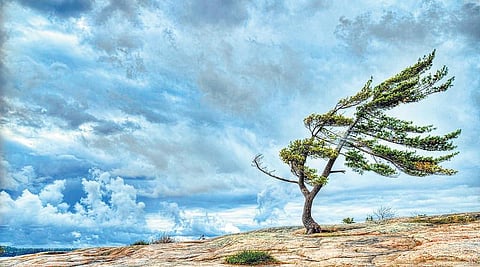 காரணம் ஆயிரம்: குளிர் அடிக்காத காற்று