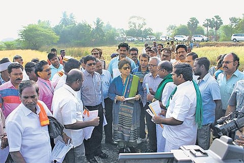 கடும் வறட்சி: மத்திய குழு நேரில் ஆய்வு- கடலூர் விவசாயிகளின் எதிர்பார்ப்பு என்ன?