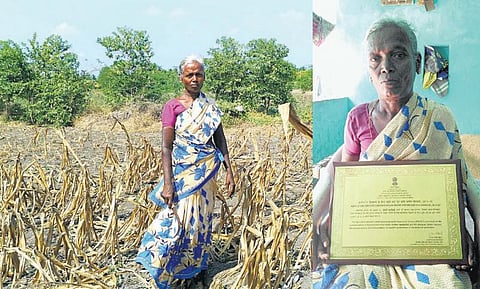 முகம் நூறு: வயல்தான் வாழ்க்கை! - தேசிய சாதனை படைத்த பூங்கோதை