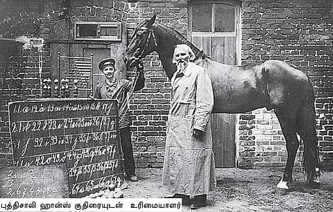 வகுப்பறைக்கு வெளியே: கணக்குப் போட்ட குதிரை