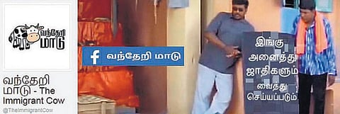 வந்தேறி மாட்டின் ஜல்லிக்கட்டு!