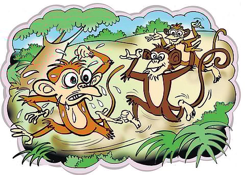 சித்திரக்கதை: குரங்கு படித்த பாடம்