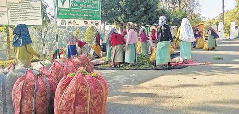 அமைதியாகக் காணப்படும் கோடநாடு எஸ்டேட்