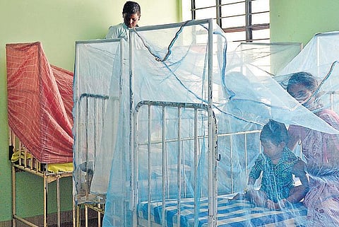 தூத்துக்குடியில் டெங்கு பாதிப்பு அதிகரிப்பு: மருத்துவமனைகளில் அலைமோதும் கூட்டம்