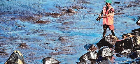 எண்ணூர் முதல் இனயம் வரை: காயப்பட்ட கடற்கரை