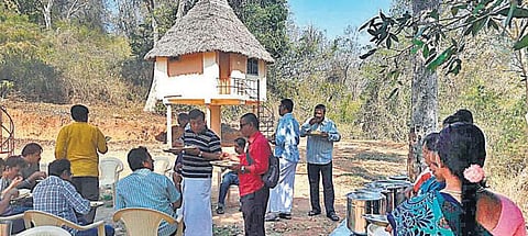 கொல்லிமலை சூழல் சுற்றுலாவில் இயற்கை உணவு, குடில்: சுற்றுலாப் பயணிகள் வரவேற்பு