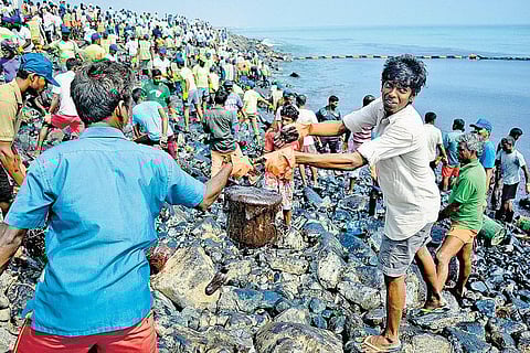30,000 மீனவர்களுக்கு தலா ரூ.5,000: எண்ணெய் கசிவு பாதிப்புக்கு தமிழக அரசு இடைக்கால நிவாரண உதவி