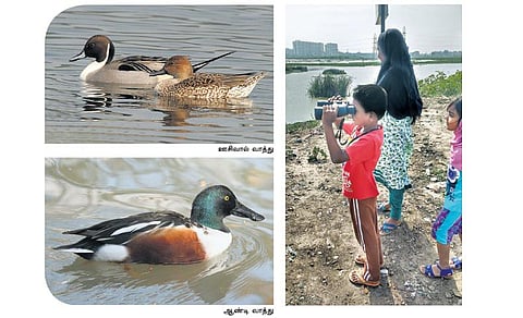 பறவைகளைத் தேடிப் புறப்பட்ட வாண்டுகள்!