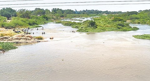 பெப்சி, கோக் குளிர்பான நிறுவனங்கள் தாமிரபரணி ஆற்றில் நீர் எடுக்க தடை இல்லை: உயர் நீதிமன்றத்தில் தாக்கலான பொதுநல மனுக்கள் தள்ளுபடி