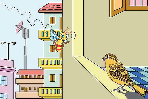 சித்திரக்கதை: தேனீயும் சிட்டுக்குருவியும்!