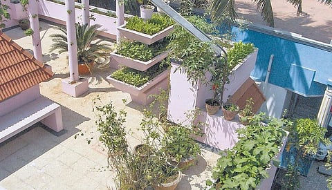 மொட்டை மாடிக்குப் பச்சைத் தொப்பி போடுங்கள்!