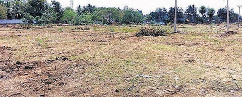 சீமைக் கருவேல மரங்கள் அழிப்புப் பணியில் ஈடுபடும் தன்னார்வலர்களுக்கு பாராட்டுச் சான்றிதழ் வழங்க வேண்டும்: ஆட்சியருக்கு சமூக ஆர்வலர்கள் வலியுறுத்தல்