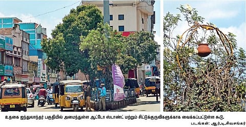 சிட்டுக்குருவிகளை காக்கும் பணியில் உதகை ஆட்டோ ஓட்டுநர்கள்