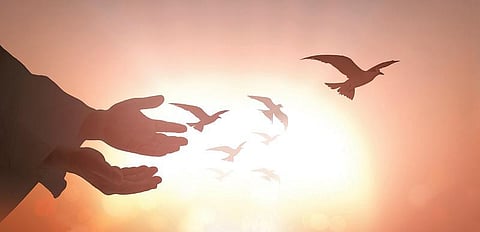 இஸ்லாம் வாழ்வியல்: படைப்புகளைப் பழிக்காதீர்கள்!