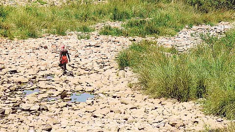 தமிழகத்துக்கும் பொருந்தும் குரல்கள்!