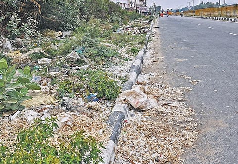 நீர்நிலைகள், சாலையோரம் கொட்டப்படும் இறைச்சி கழிவுகளால் சுகாதார சீர்கேடு