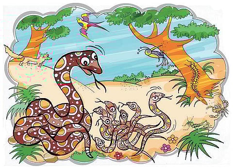 சித்திரக்கதை: அவரவர் இடமே சொர்க்கம்